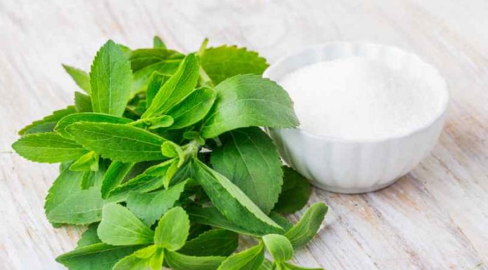 Stevia la Planta Prohibida - Stevia la Planta Milagrosa