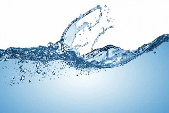 Agua Fuente de Salud - Agua complemento Dietas