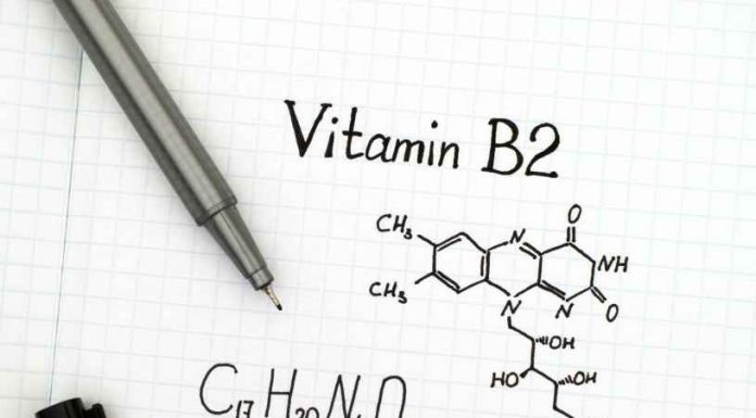 Riboflavina - Bitamina B2