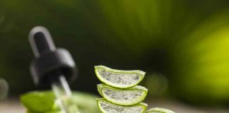 Beneficios del Aloe Vera - Propiedades del Aloe Vera