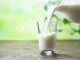 Leche para Dieta - Elegir la leche para Dieta
