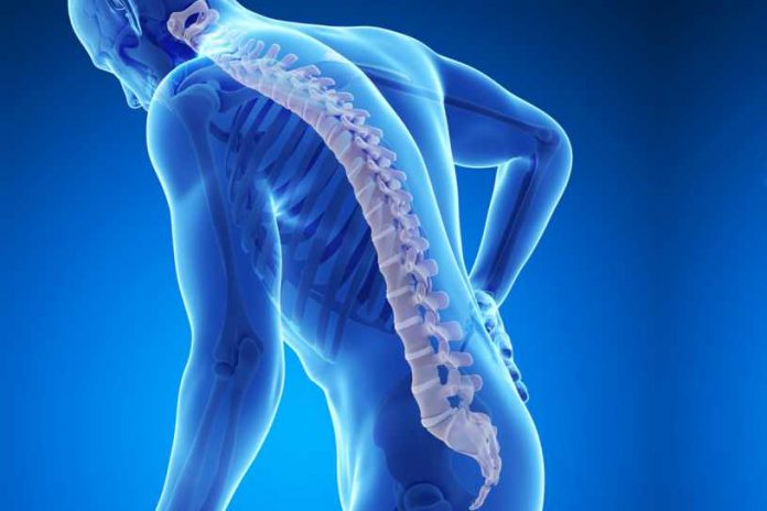 Osteoporosis Enfermedad de los Huesos - Osteoporosis Huesos