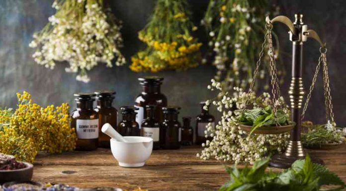 Historia de la Aromaterapia - Historia Aceites Esenciales