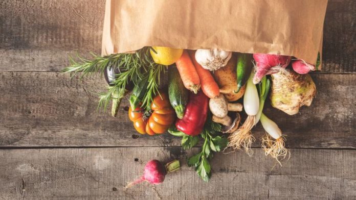 Claves Nutrición Vegetal - ¿Cuales son las Claves de la nutrición vegetal?