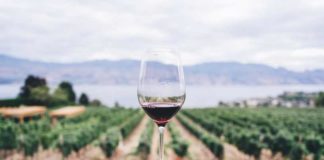 Guardar el Vino - ¿Cómo Tenemos que Guardar el Vino?