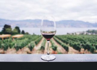 Guardar el Vino - ¿Cómo Tenemos que Guardar el Vino?