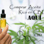 Aceite Rico en CBD