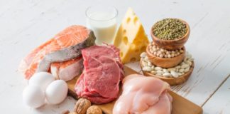Proteína Proporciona Nutrientes para los Músculos