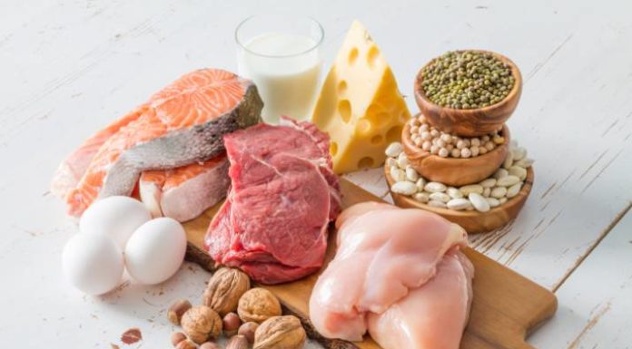 Proteína Proporciona Nutrientes para los Músculos