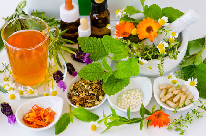 Remedios Herbales para el Alivio Natural del Dolor