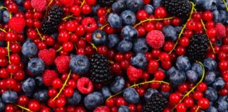 Propiedades y Beneficios de los Frutos Rojos