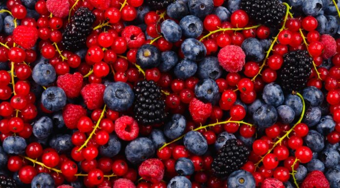 Propiedades y Beneficios de los Frutos Rojos