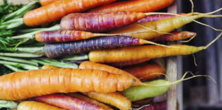 Virtudes de las Zanahorias - Beneficios de las Zanahorias