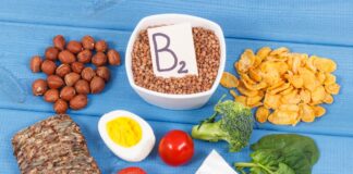 Alimentos Ricos en Vitamina B2