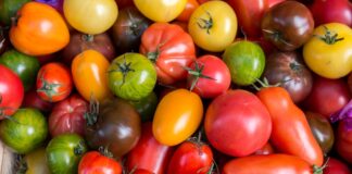 Propiedades y Beneficios del Tomate