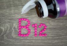 Alimentos Ricos en Vitamina B12